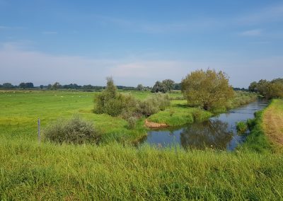 Opstellen natuurcompensatieplan – RvB Engineering B.V.