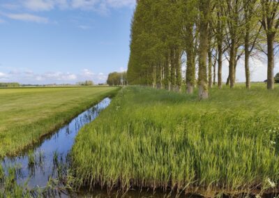 Inventarisatie grassen & oevers – gemeente Leeuwarden