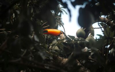 De Slijpkruik sponsort Wereld Natuur Fonds