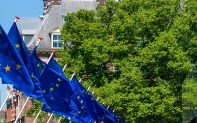 Hervorming Europese aanbestedingsverordening: De Slijpkruik bereidt zich voor