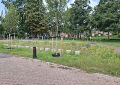 Hazepad: vergroening en biodiversiteit