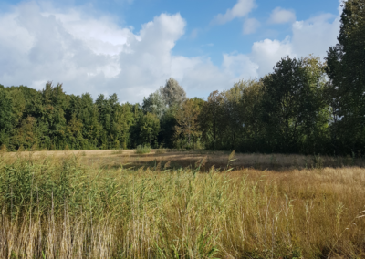 Integraal landschapsontwerp – Park Schothorst